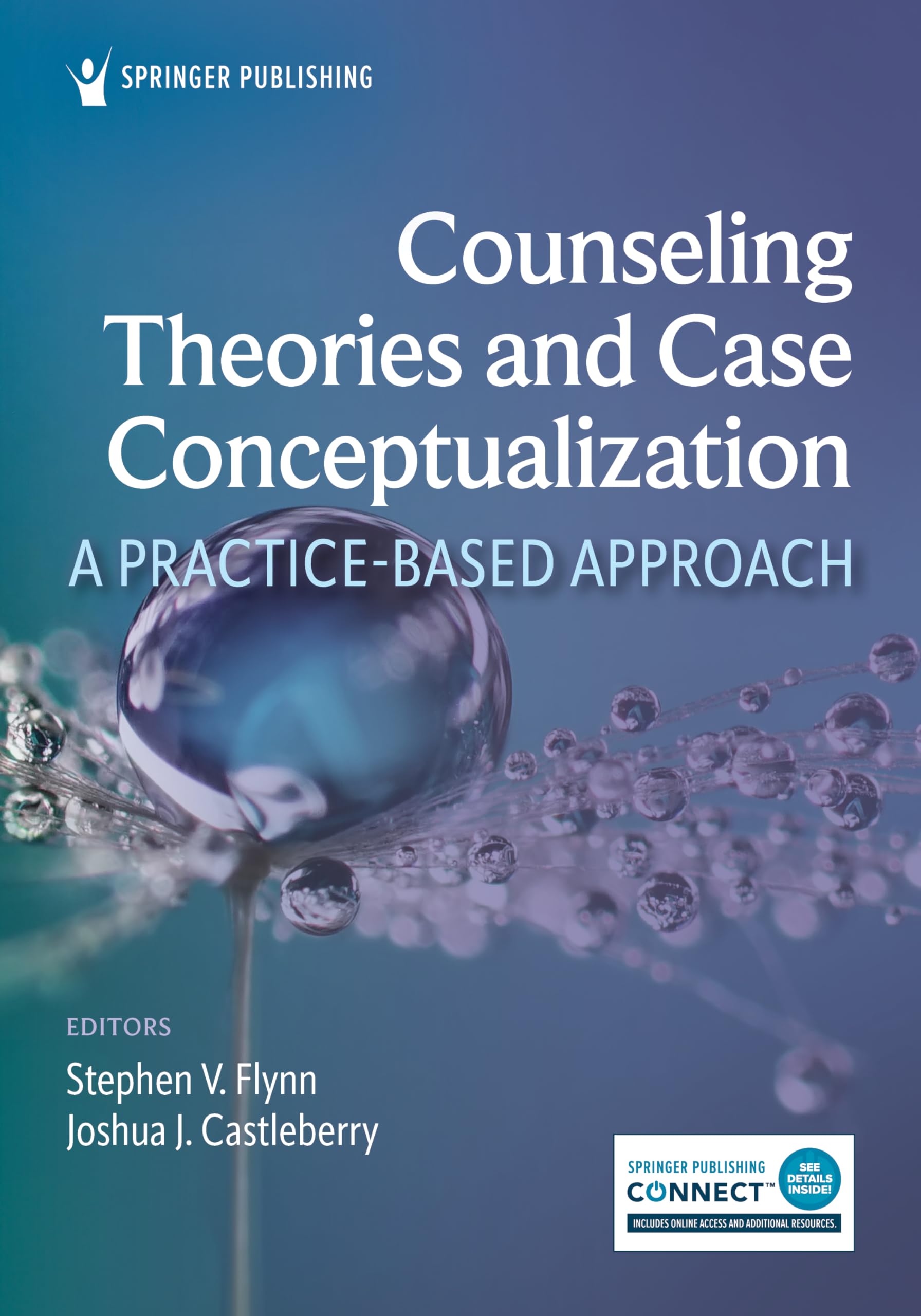 Cover of Counseling Theories and Case Conceptualization: A Practice-Based Approach
