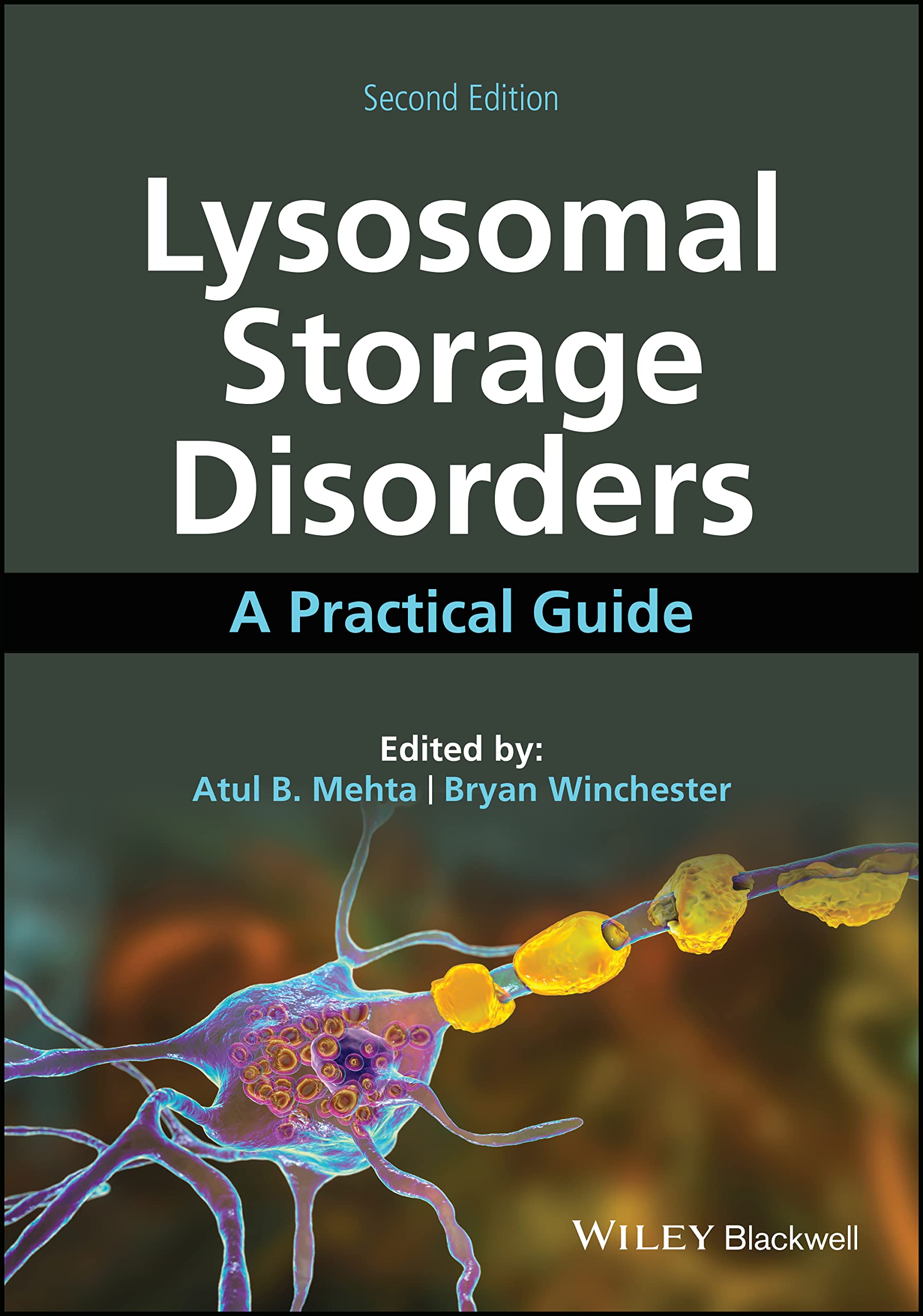 Cover of Lysosomal Storage Disorders: A Practical Guide