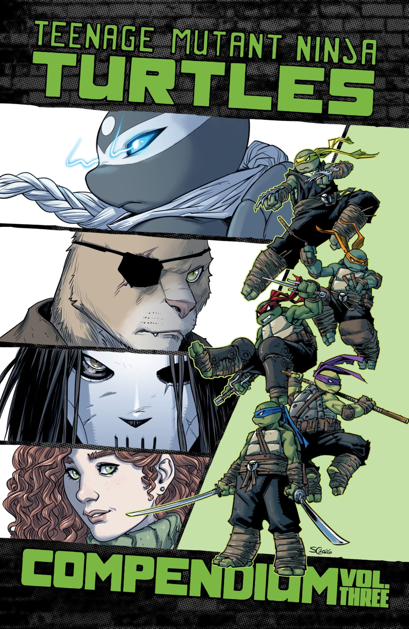 Cover of Teenage Mutant Ninja Turtles: Ongoing Compendium, Vol. 3