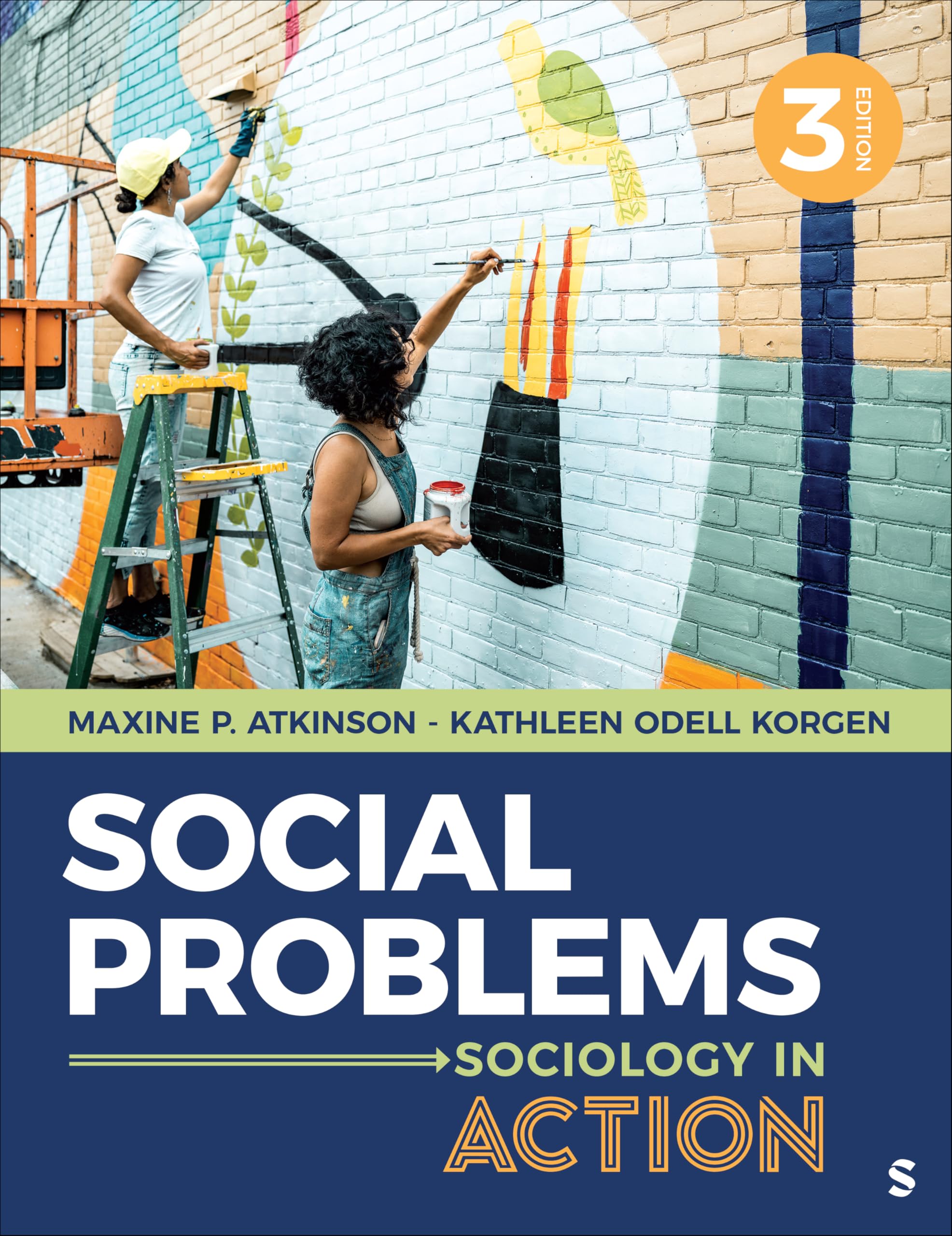 Cover of Social Problems: Sociology in Action