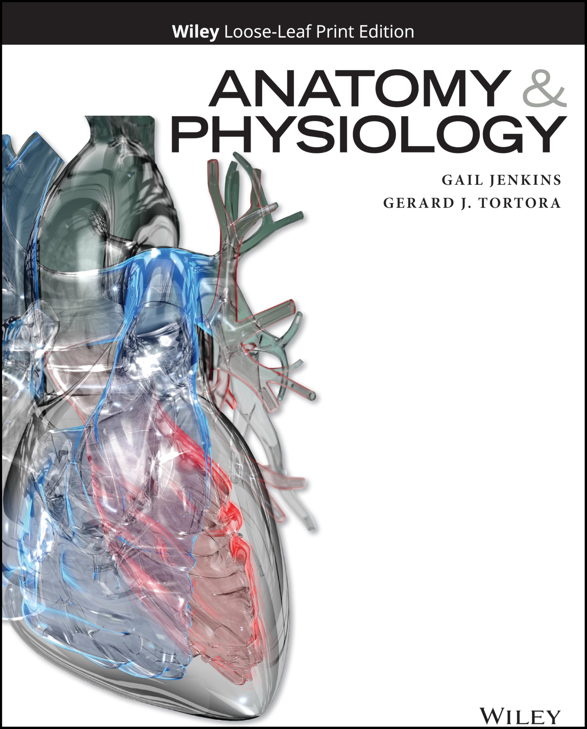 Cover of Anatomy and Physiology
