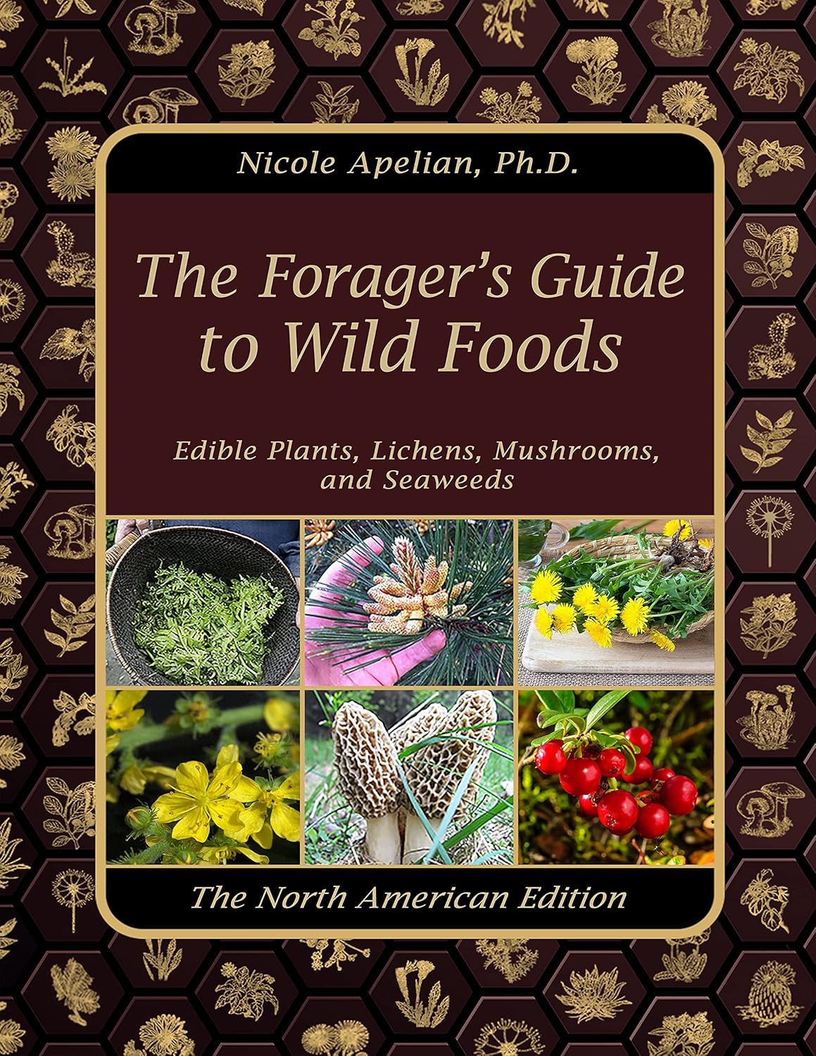 Cover of The Forager’s Guide to Wild Foods