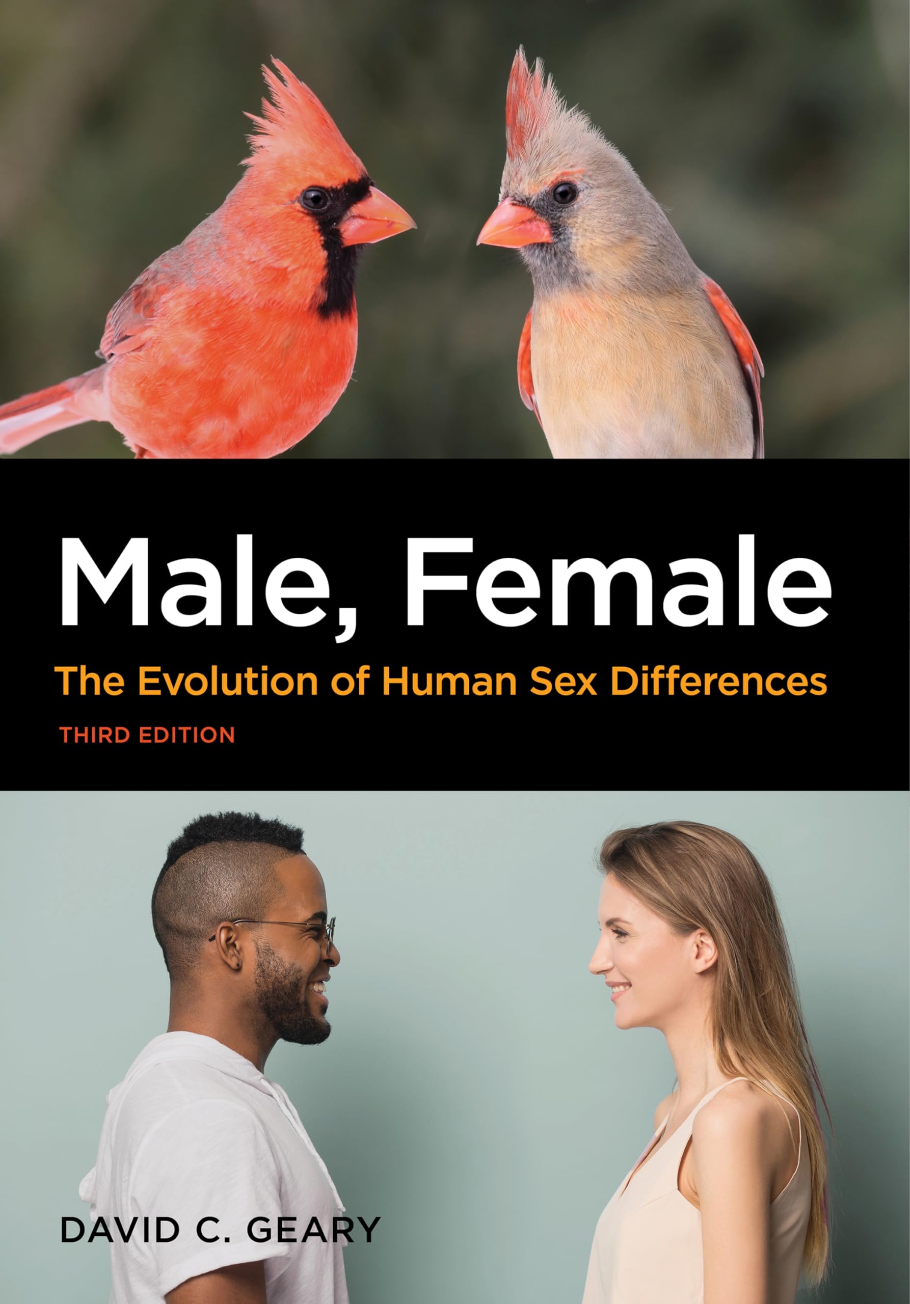 Cover of Male, Female: The Evolution of Human Sex Differences