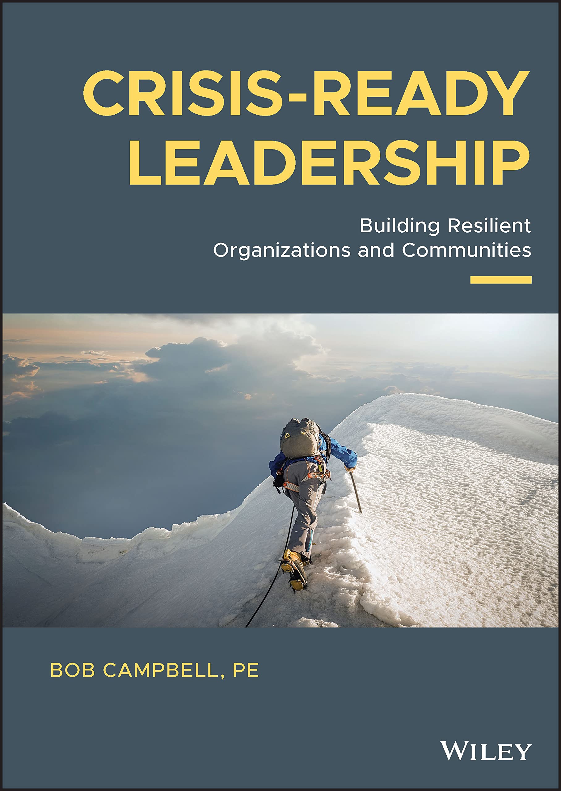 Cover of Crisis-ready Leadership: Building Resilient Organizations and Communities