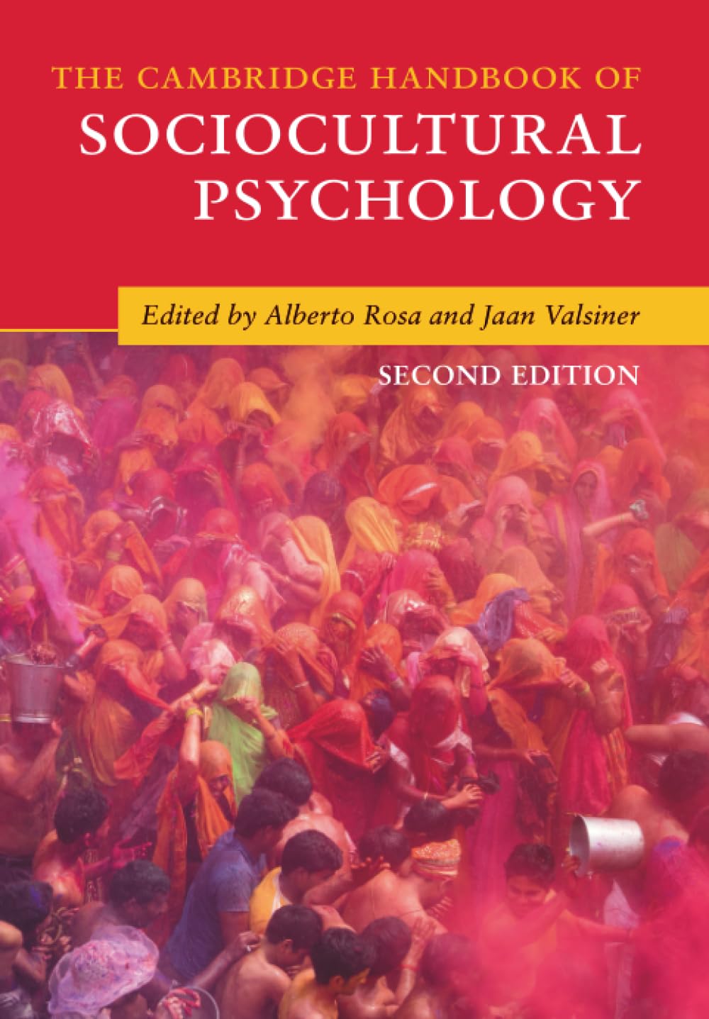 Cover of The Cambridge Handbook of Sociocultural Psychology (Cambridge Handbooks in Psychology)