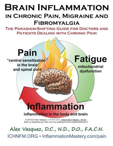 Cover of Brain Inflammation in Chronic Pain, Migraine and Fibromyalgia: The Paradigm-Shifting Guide for Doctors and Patients Dealing with Chronic Pain