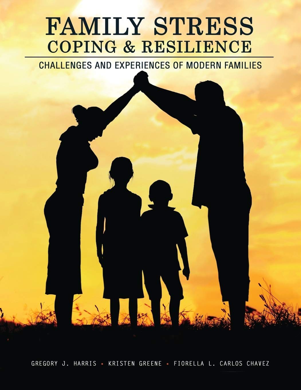 Cover of Family Stress, Coping, and Resilience: Challenges and Experiences of Modern Families