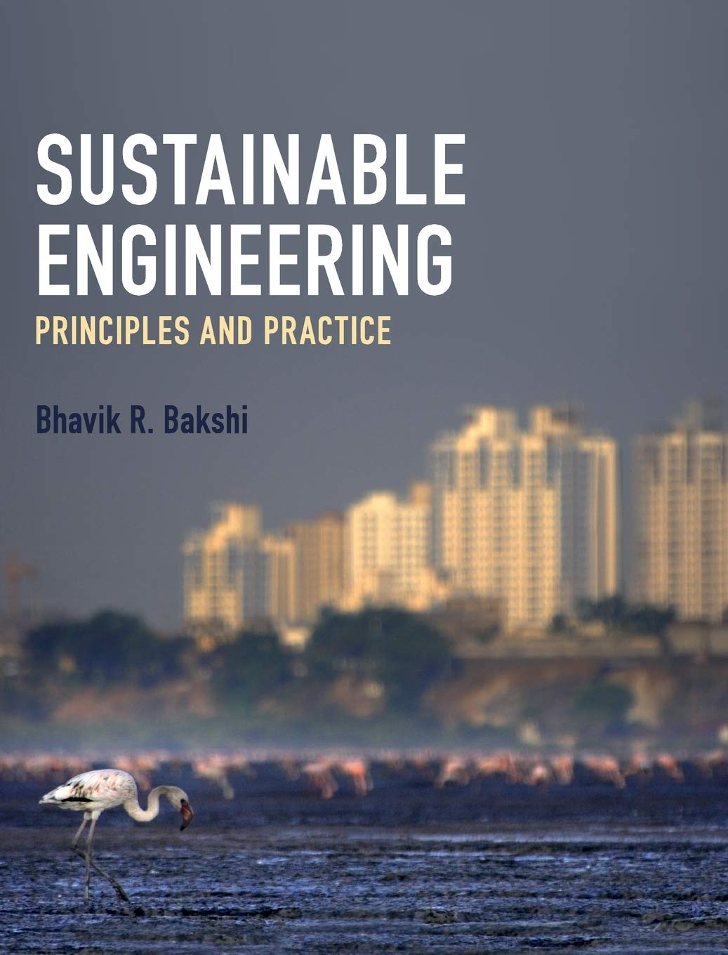 Cover of Sustainable Engineering