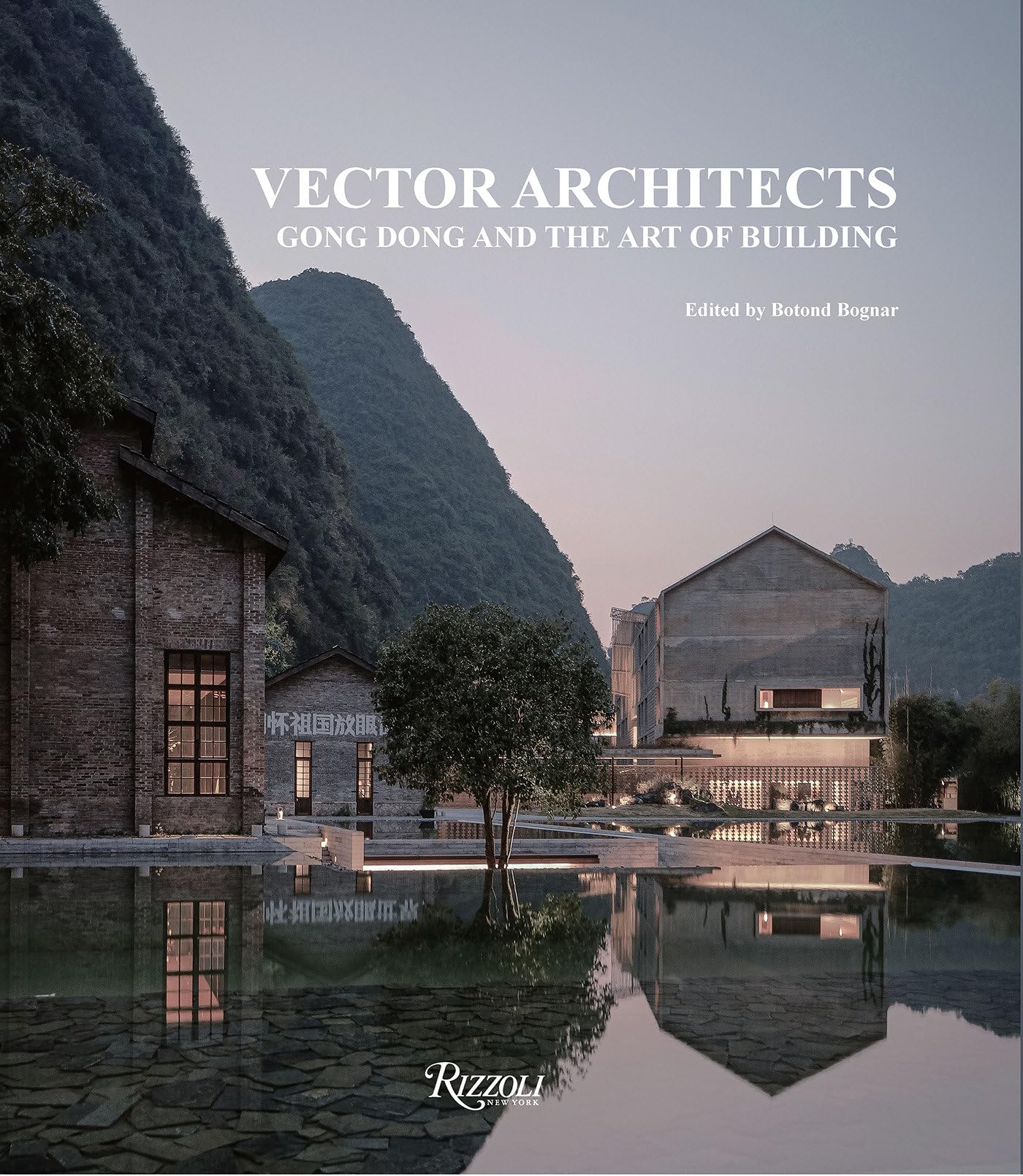 Cover of Vector Architects: Gong Dong and the Art of Building