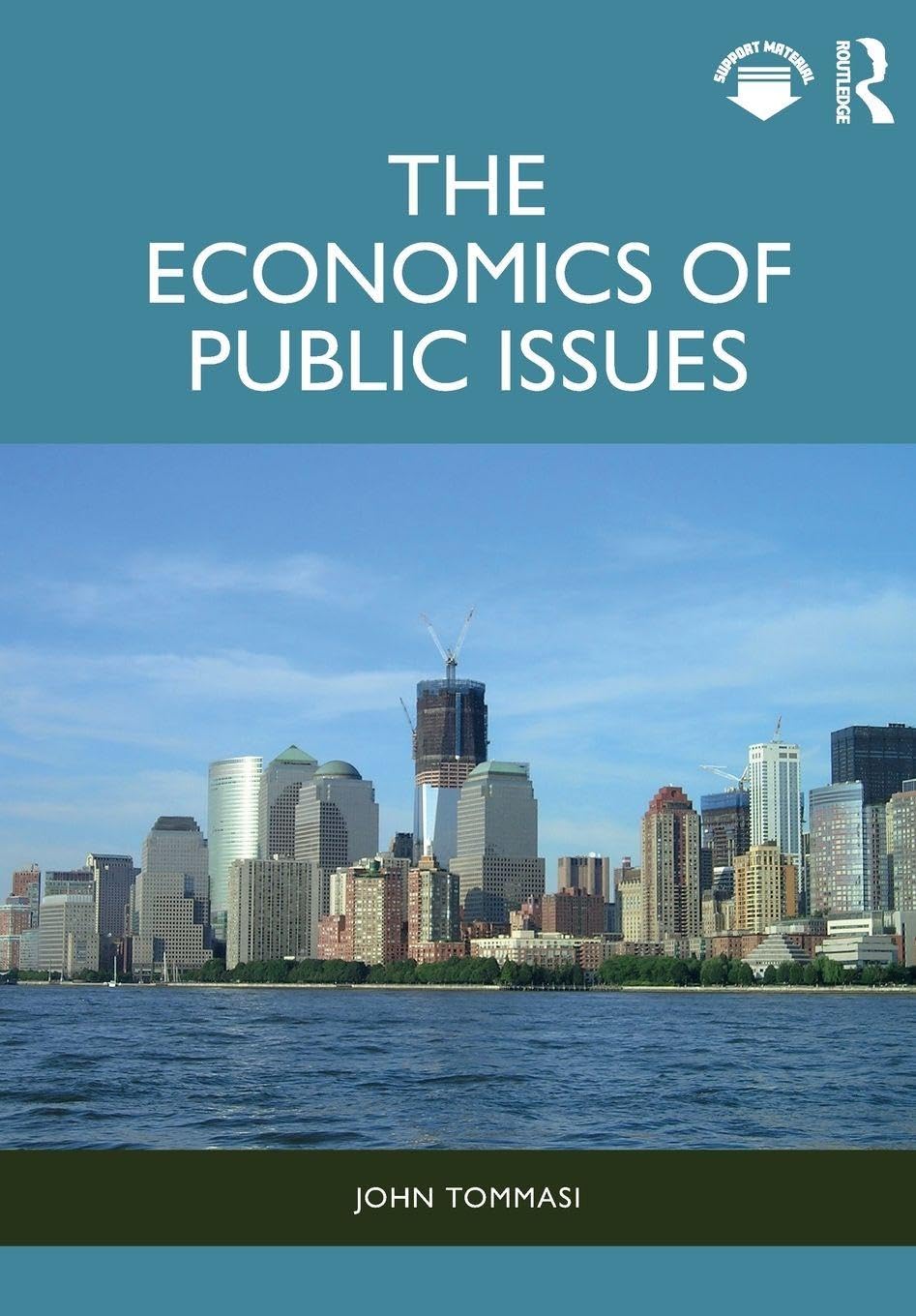 Cover of The Economics of Public Issues