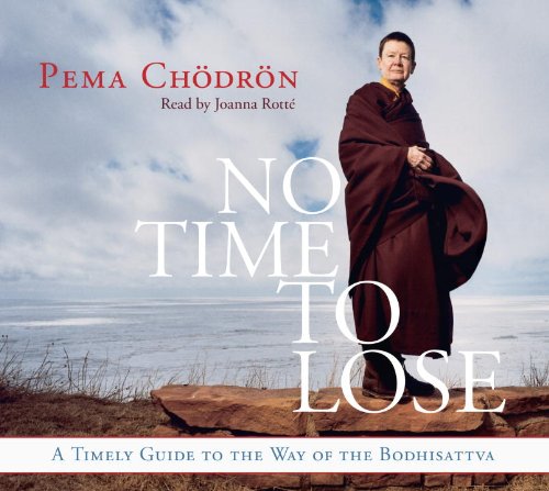 Cover of No Time to Lose: A Timely Guide to the Way of the Bodhisattva