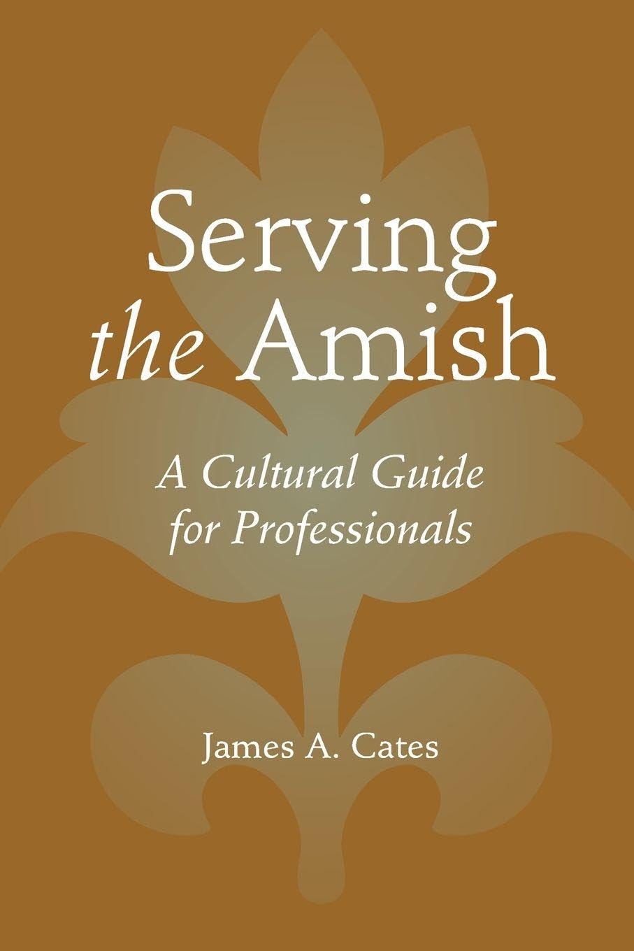 Cover of Serving the Amish: A Cultural Guide for Professionals (Young Center Books in Anabaptist and Pietist Studies)