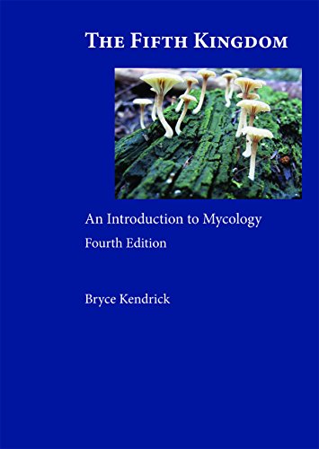 Cover of The Fifth Kingdom