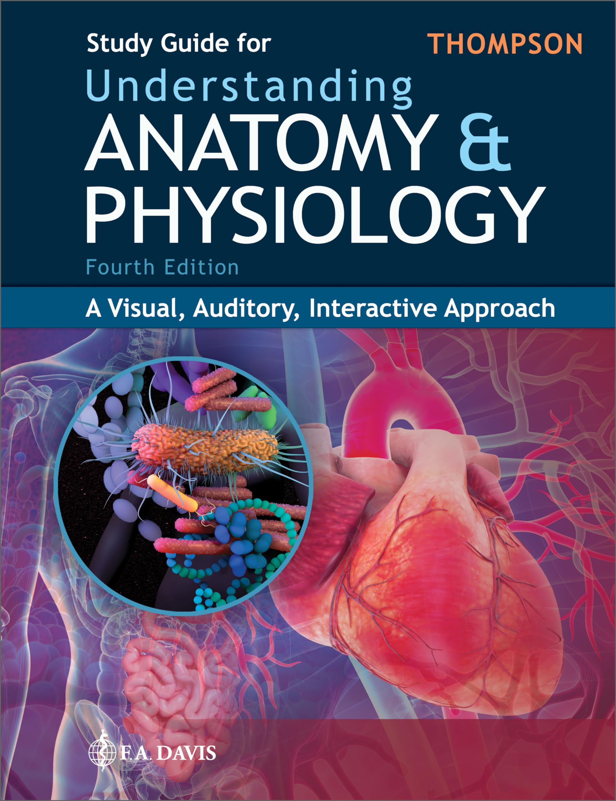 Cover of Study Guide for Understanding Anatomy & Physiology: A Visual, Auditory, Interactive Approach