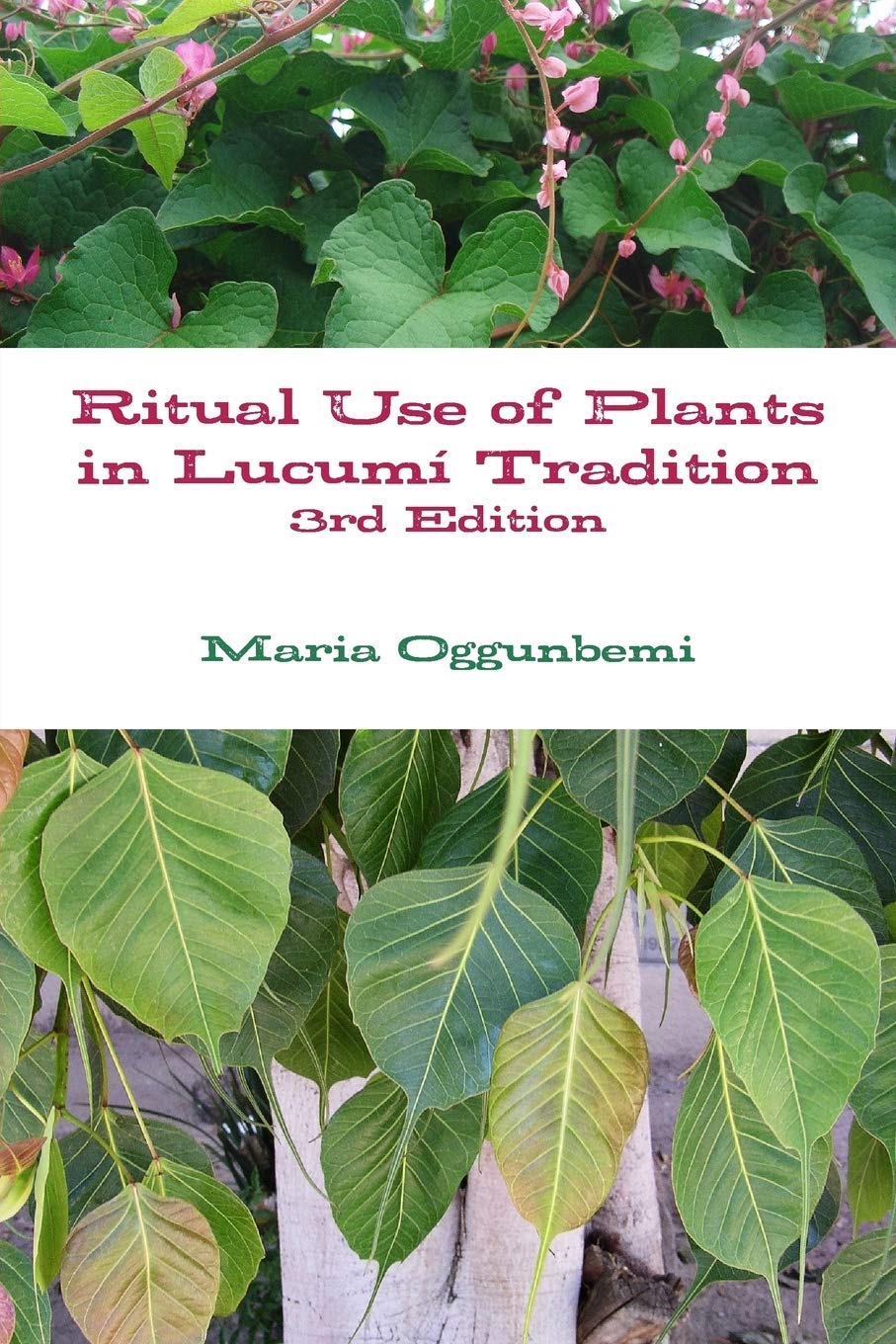 Cover of Ritual Use of Plants in Lucum? Tradition 3rd edition