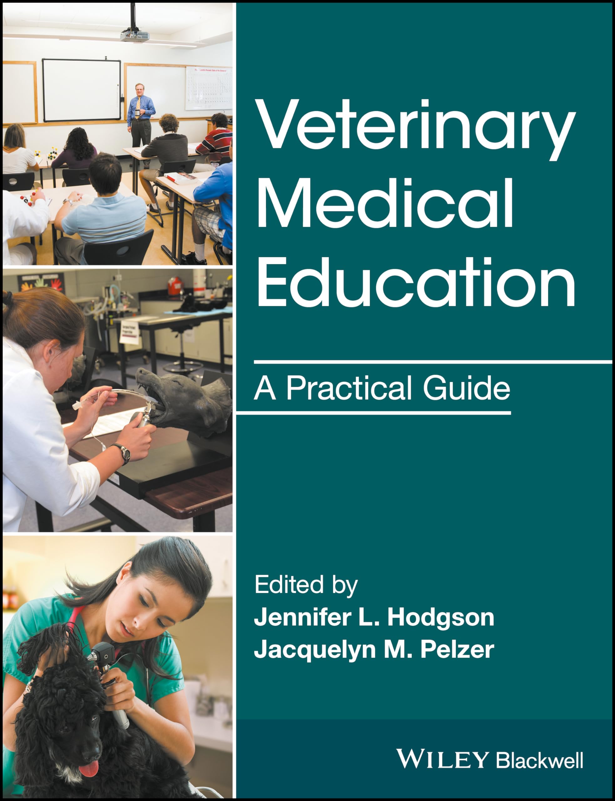 Cover of Veterinary Medical Education: A Practical Guide