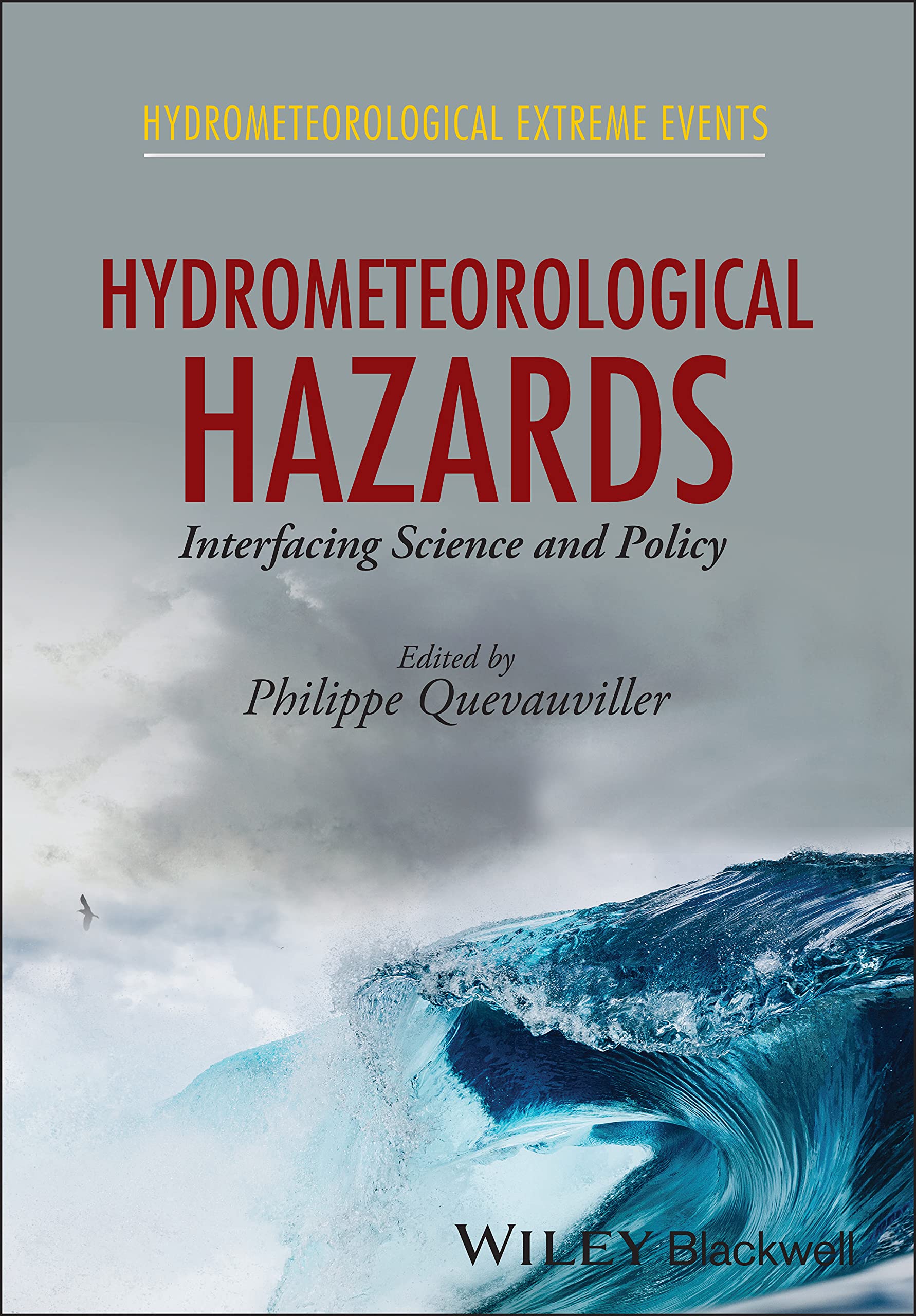 Cover of Hydrometeorological Hazards: Interfacing Science and Policy (Hydrometeorological Extreme Events)