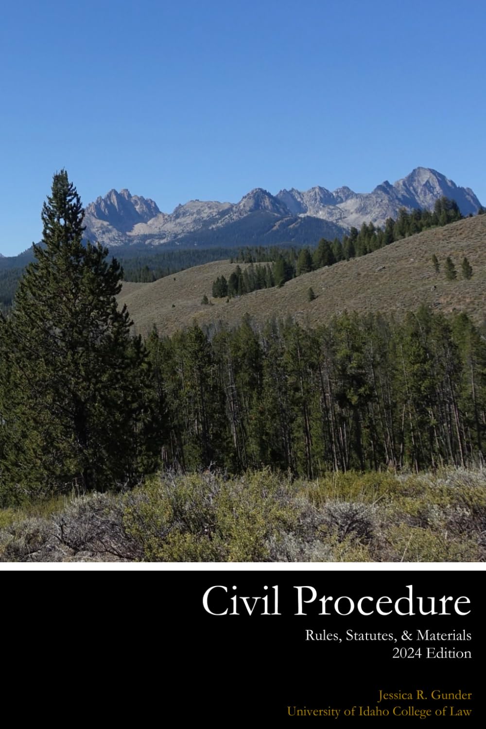 Cover of Civil Procedure Rules, Statutes, & Materials