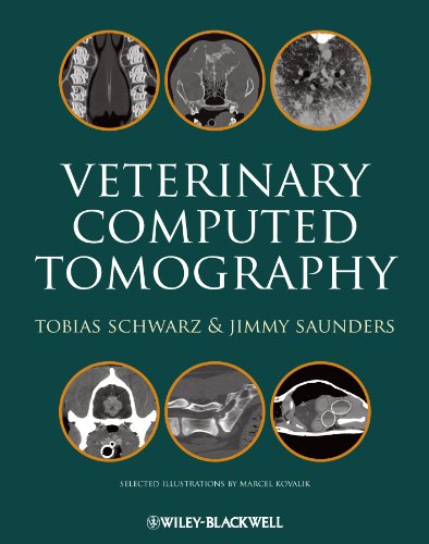 Cover of Veterinary Computed Tomography