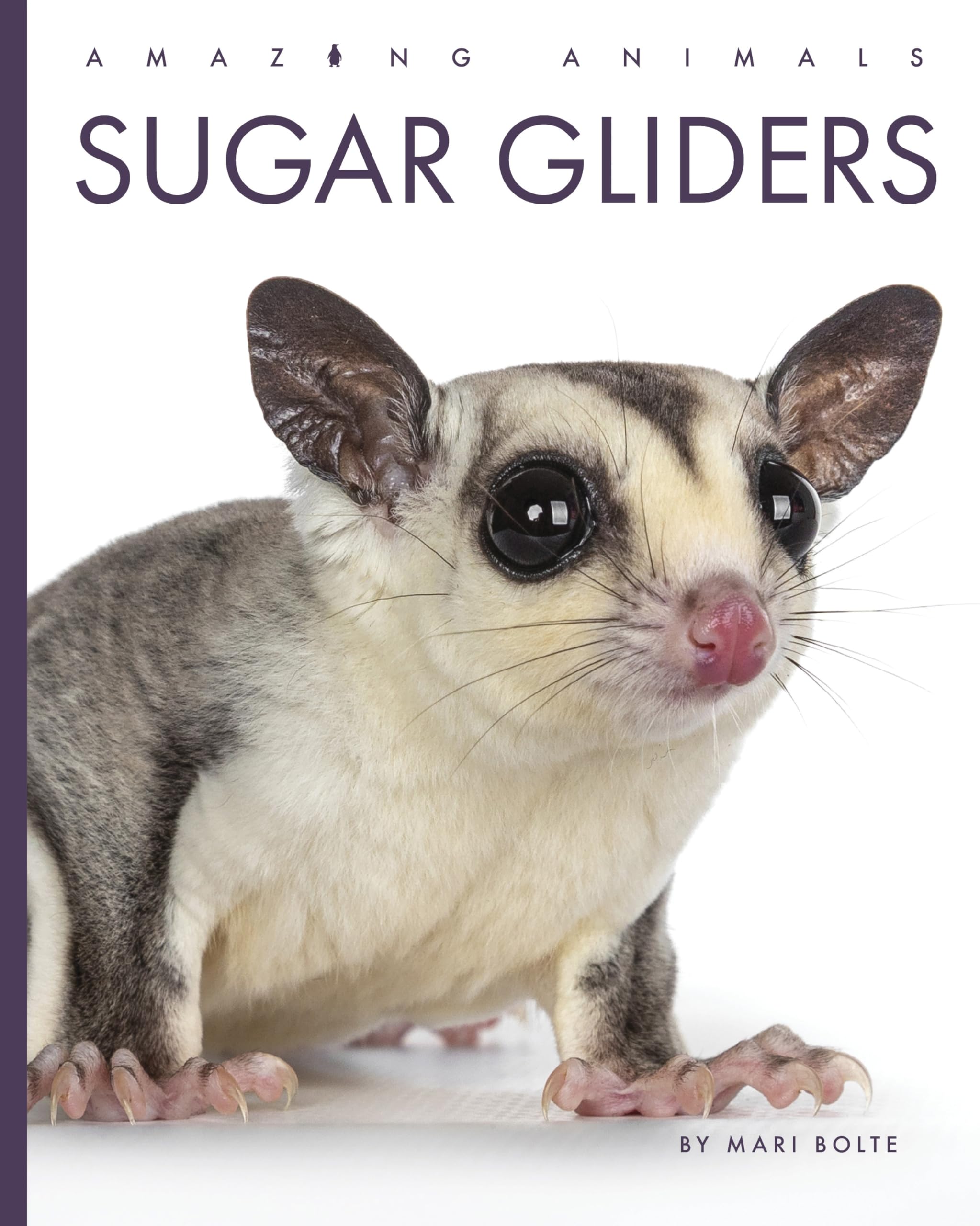 Cover of Sugar Gliders (Amazing Animals)