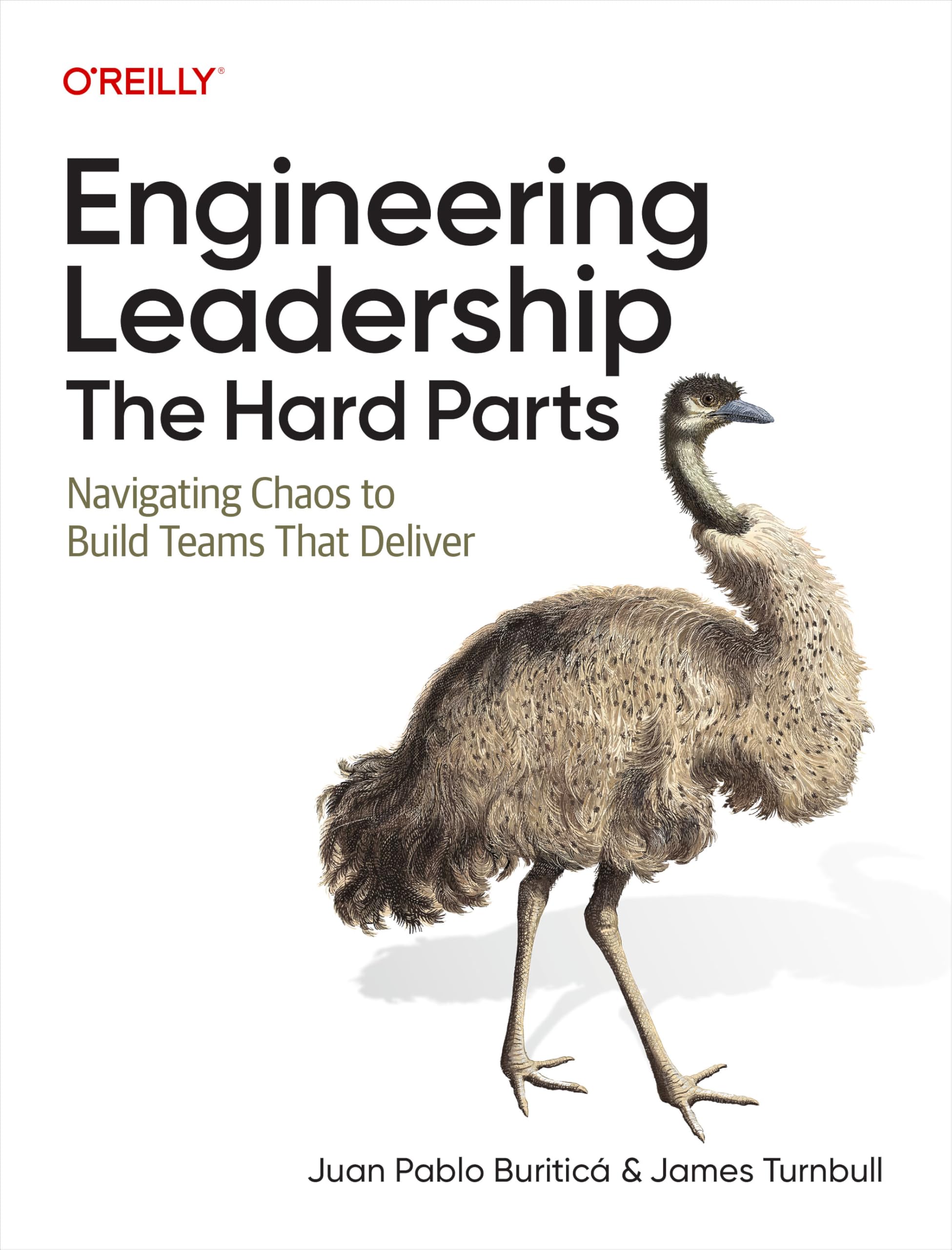 Cover of Engineering Leadership: The Hard Parts: Navigating Chaos to Build Teams That Deliver