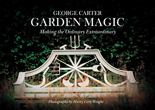 Cover of George's Magic Garden: Transforming the Ordinary into the Extraordinary