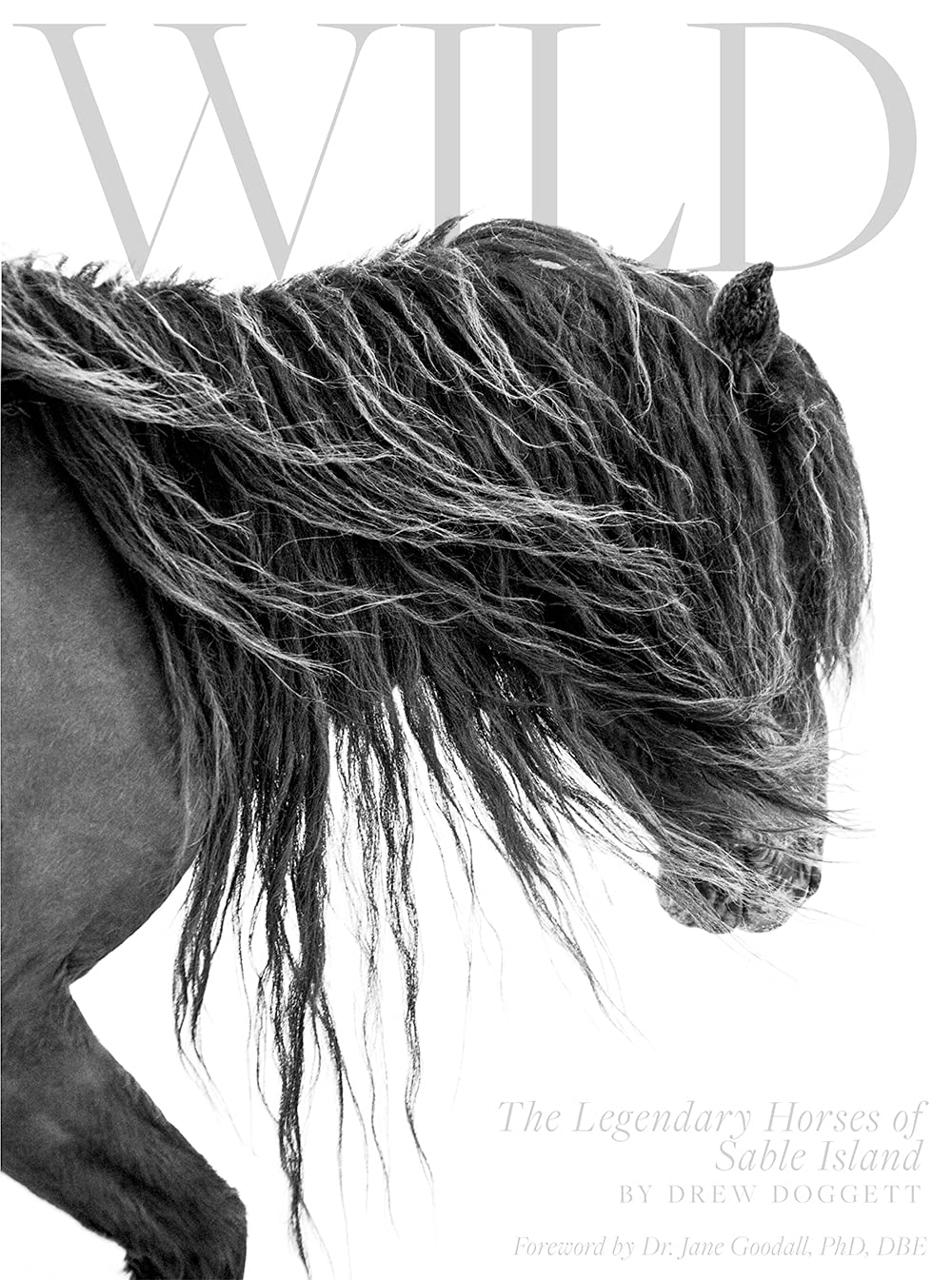 Cover of Wild: The Legendary Horses of Sable Island