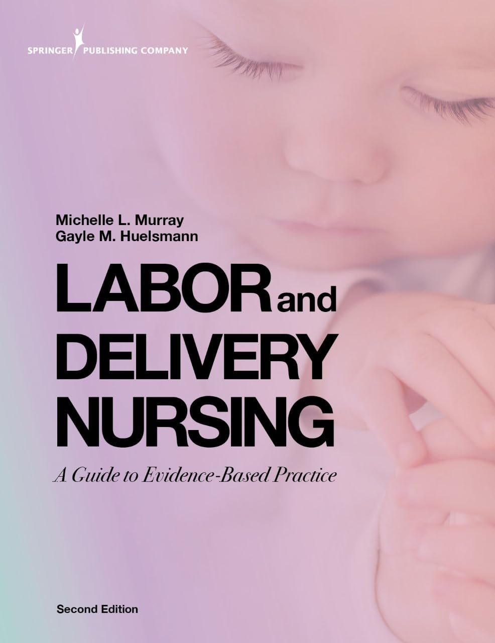 Cover of Labor and Delivery Nursing, Second Edition: A Guide to Evidence-Based Practice (Revised)