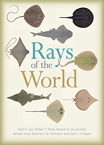 Cover of Rays of the World