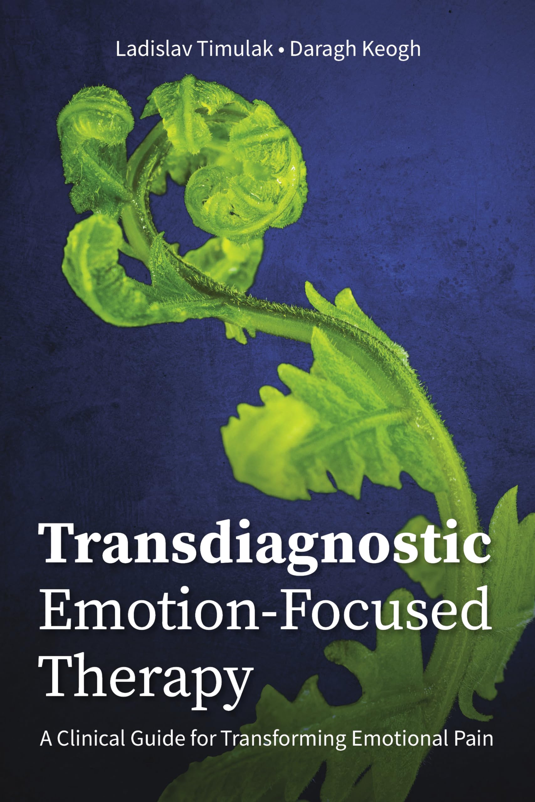 Cover of Transdiagnostic Emotion-Focused Therapy: A Clinical Guide for Transforming Emotional Pain