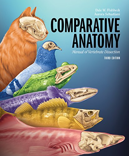 Cover of Comparative Anatomy: Manual of Vertebrate Dissection