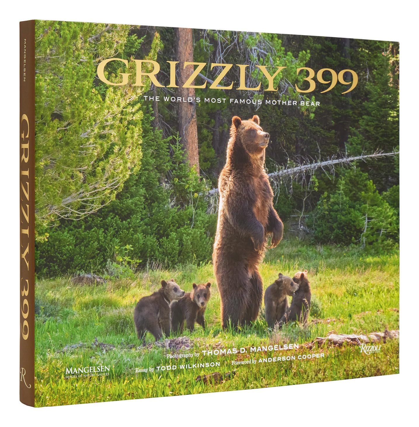 Cover of Grizzly 399: The World's Most Famous Mother Bear