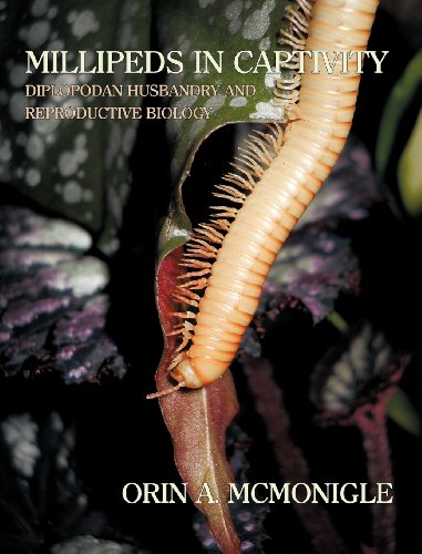 Cover of Millipeds in Captivity: Diplopodan Husbandry and Reproductive Biology (Millipede Husbandry)