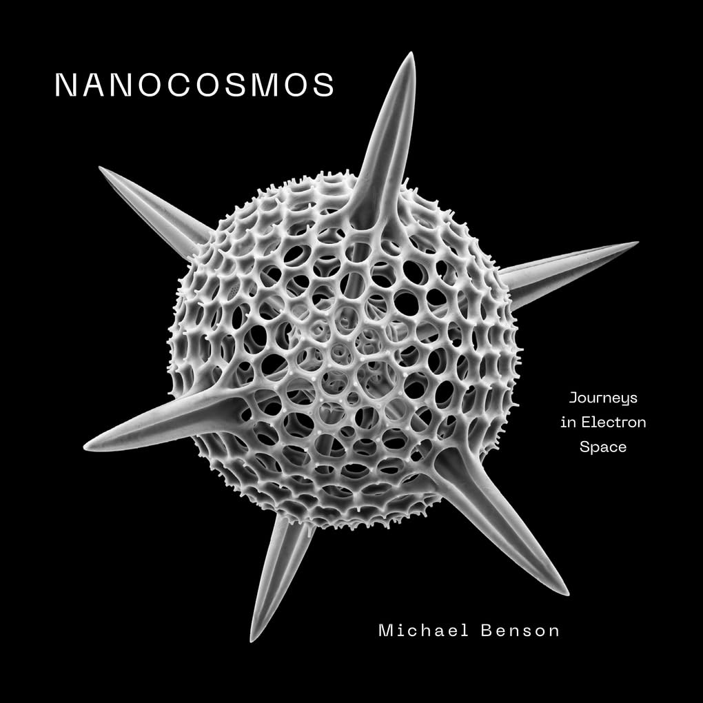 Cover of Nanocosmos: Journeys in Electron Space