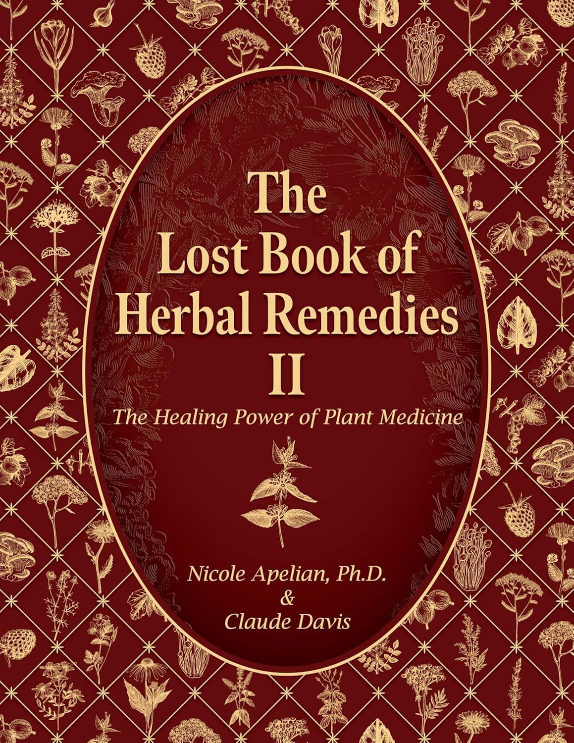 Cover of Lost Book of Herbal Remedies II: The Healing Power of Plant Medicine