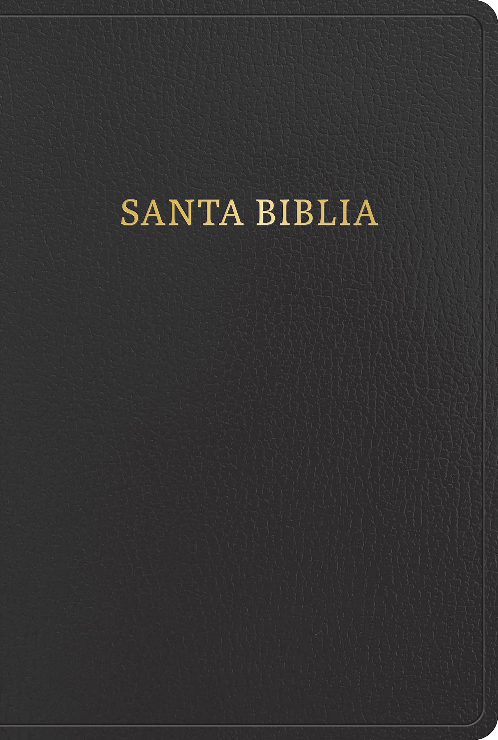 Cover of RVR 1960 Biblia letra gigante, negro imitación piel con índice (Edición 2023): Santa Biblia (Spanish Edition)