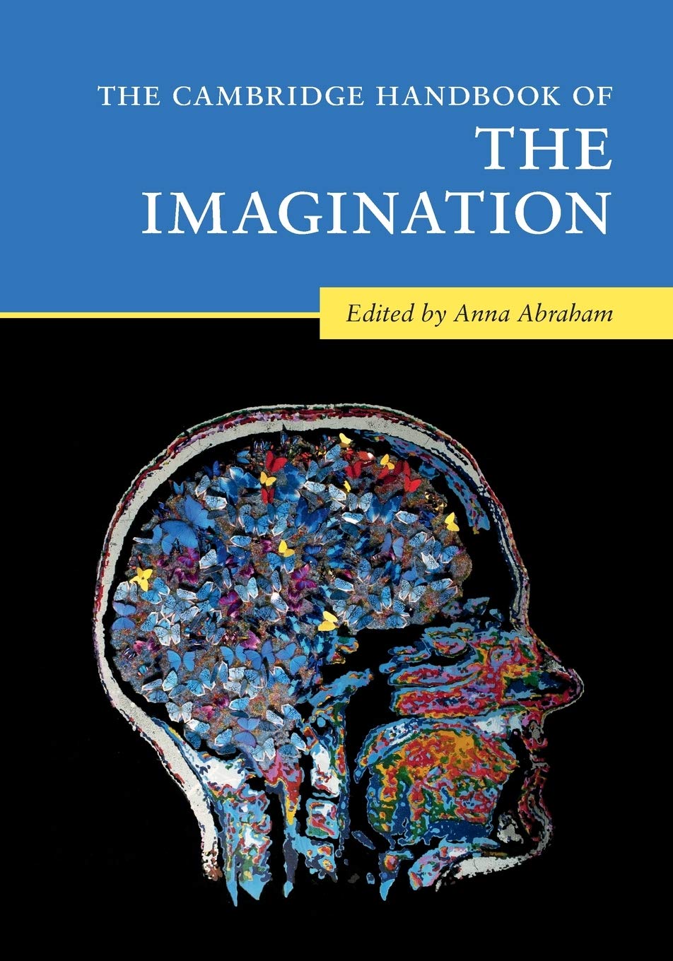 Cover of The Cambridge Handbook of the Imagination (Cambridge Handbooks in Psychology)