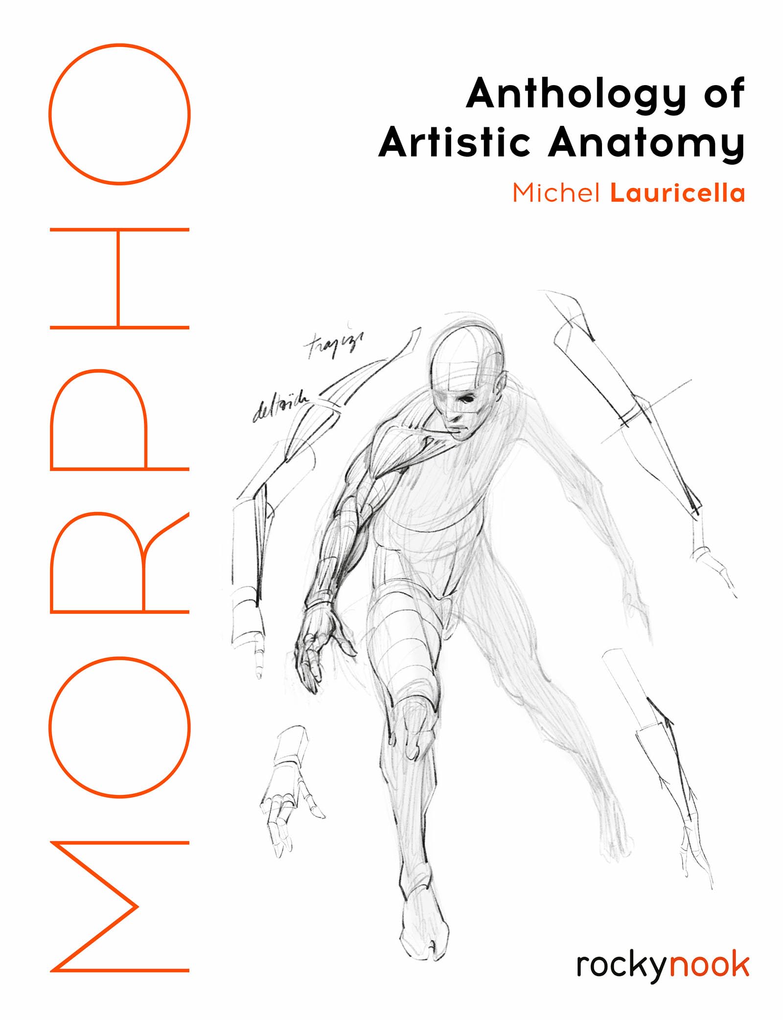 Cover of Morpho: Anthology of Artistic Anatomy (Morpho: Anatomy for Artists, 11)