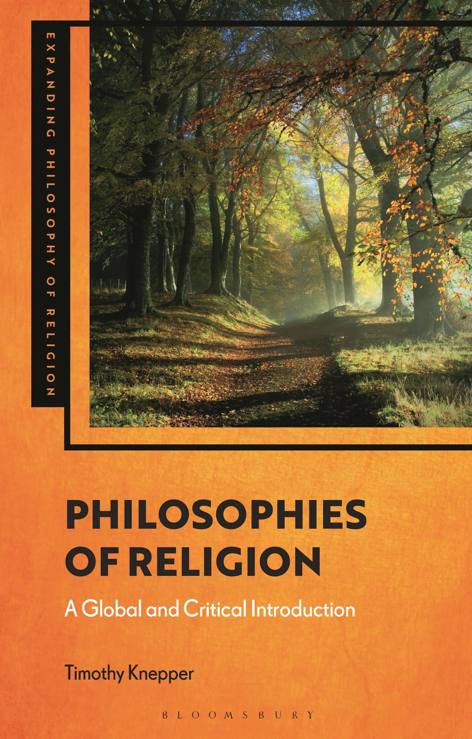 Cover of Philosophies of Religion: A Global and Critical Introduction (Expanding Philosophy of Religion)