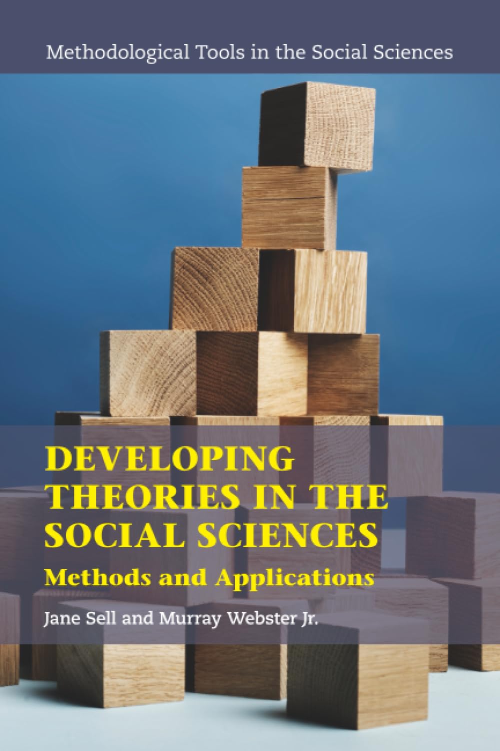Cover of Developing Theories in the Social Sciences (Methodological Tools in the Social Sciences)
