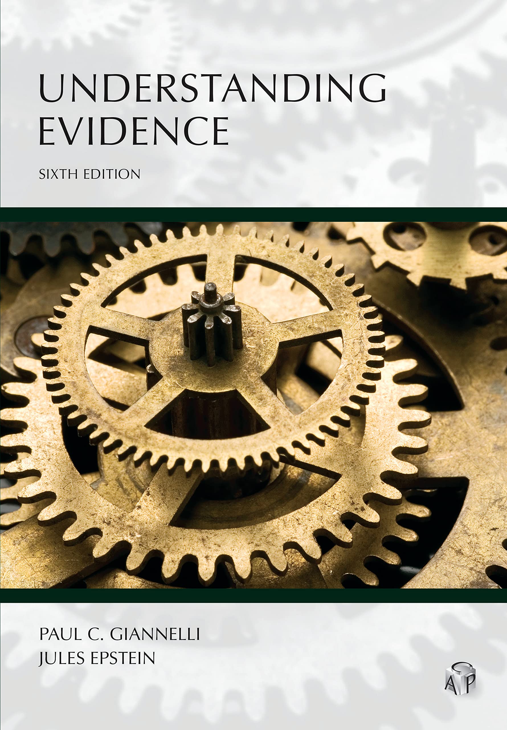 Cover of Understanding Evidence (Understanding Series)
