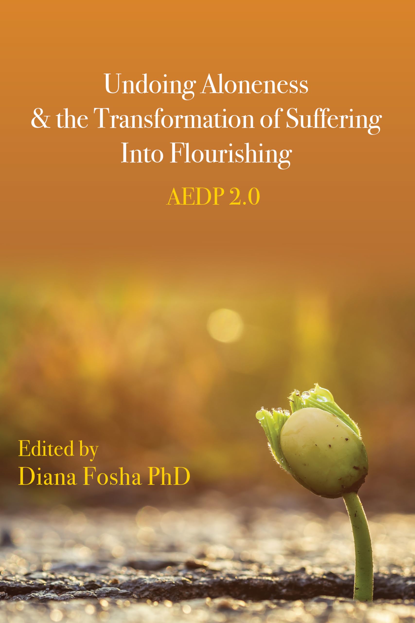 Cover of Undoing Aloneness and the Transformation of Suffering Into Flourishing: AEDP 2.0