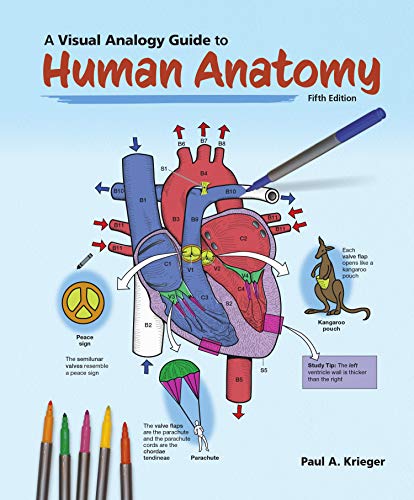 Cover of A Visual Analogy Guide to Human Anatomy