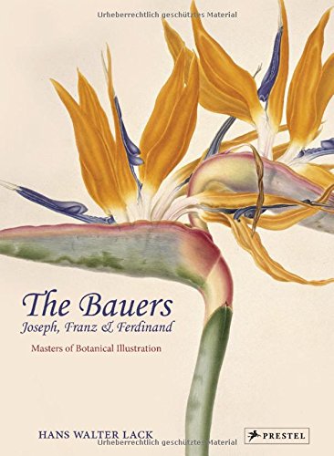 Cover of The Bauers: Joseph, Franz & Ferdinand: Masters of Botanical Illustration