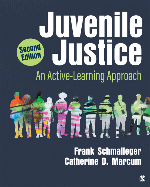 Cover of Juvenile Justice: An Active-Learning Approach