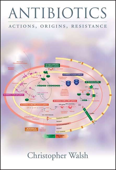 Cover of Antibiotics: Challenges, Mechanisms, Opportunities