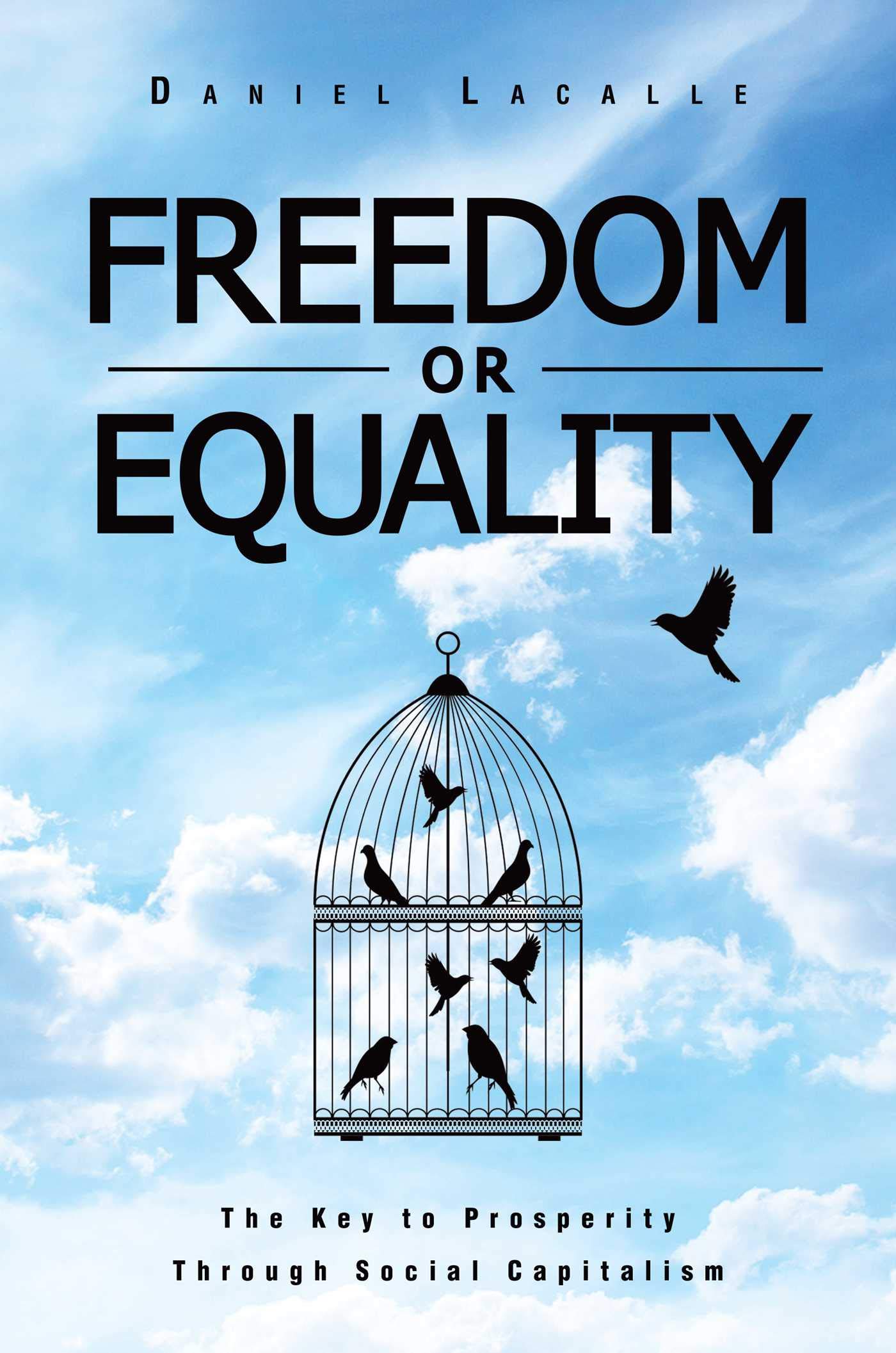 Cover of Freedom or Equality: The Key to Prosperity Through Social Capitalism