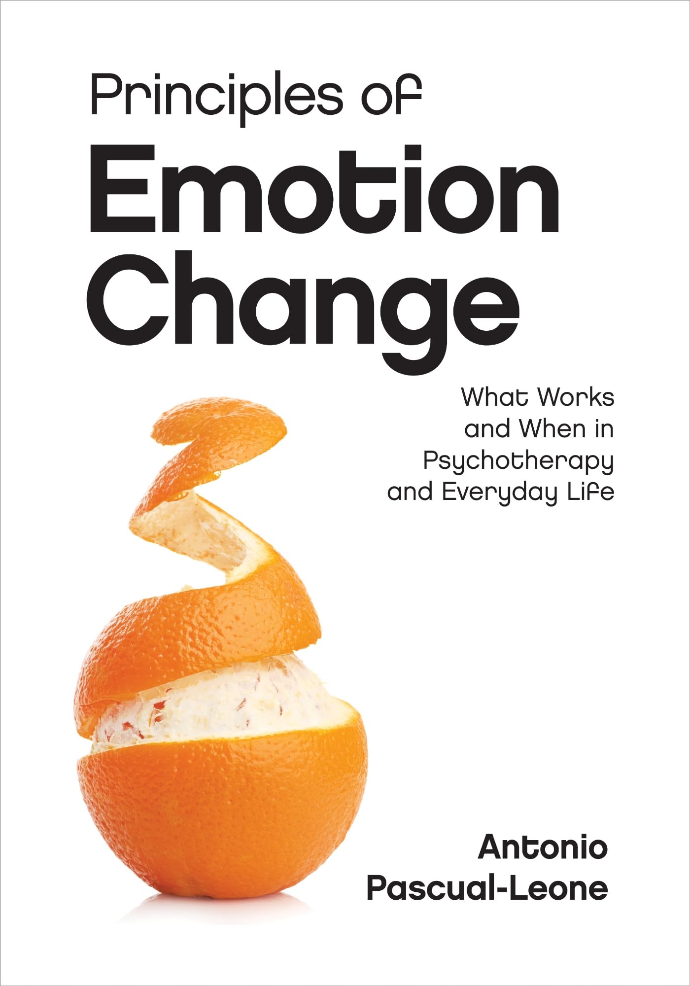 Cover of Principles of Emotion Change: What Works and When in Psychotherapy and Everyday Life