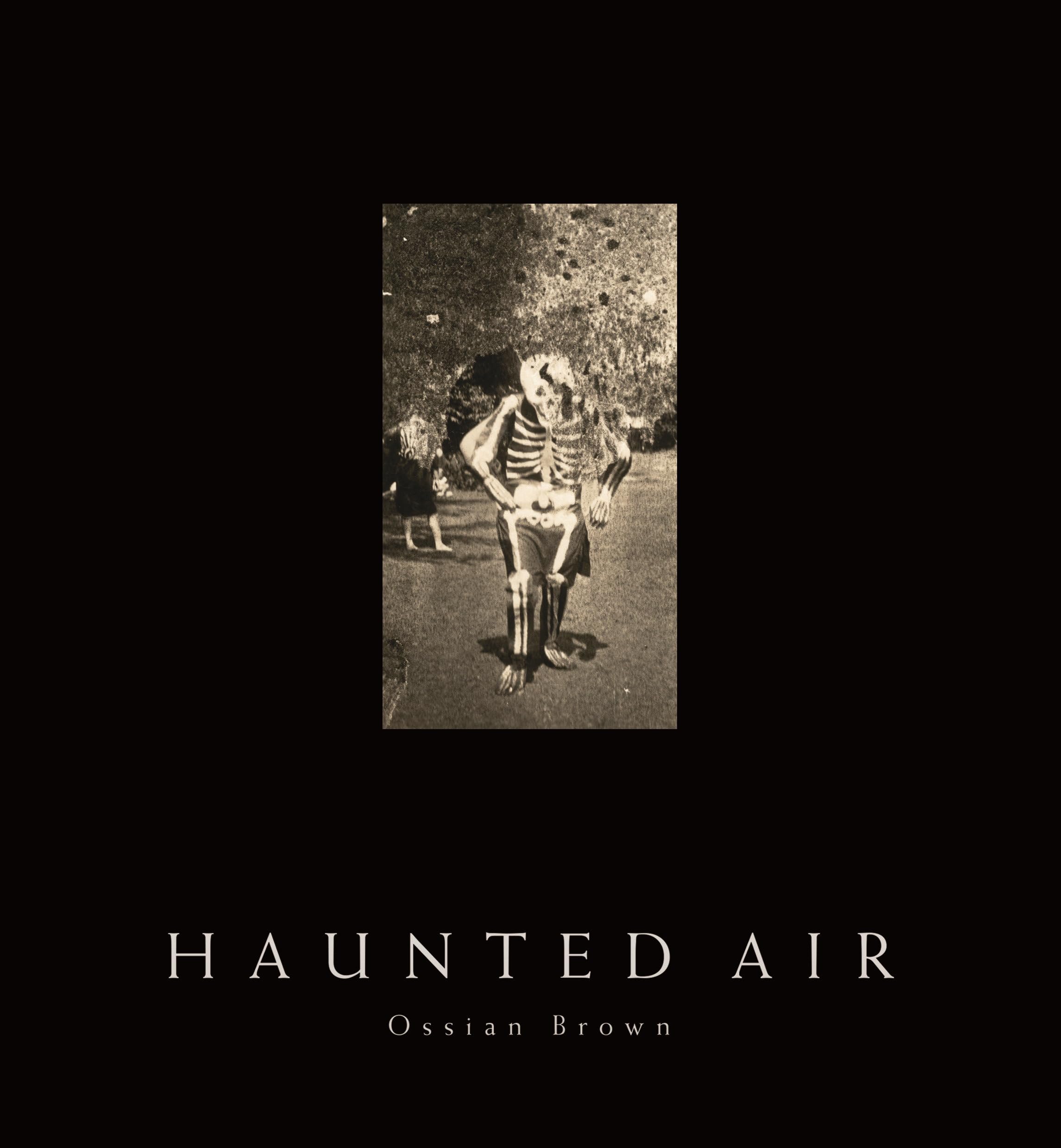 Cover of Haunted Air