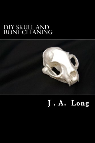 Cover of DIY Skull and Bone Cleaning: Learn Tips, Tricks and Techniques That Professionals Use